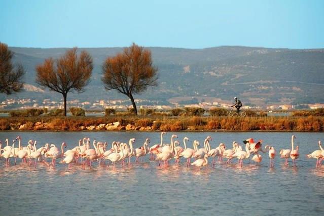Appart Beziers Plage エクステリア 写真